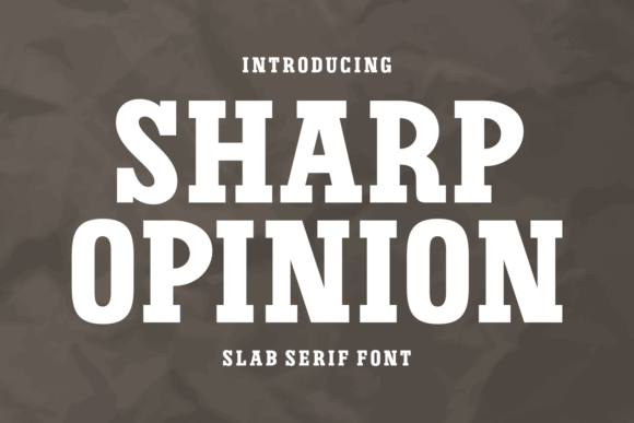 Sharp Opinion Font Review